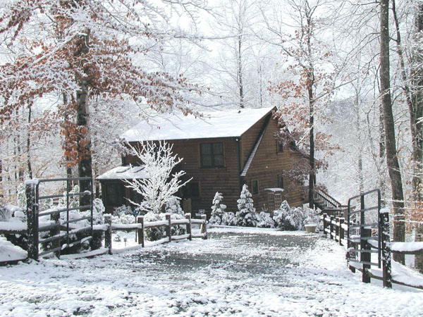 creekside in snow